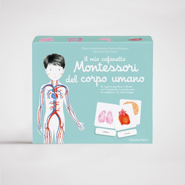L’IPPOCAMPO – Il mio cofanetto Montessori del corpo umano